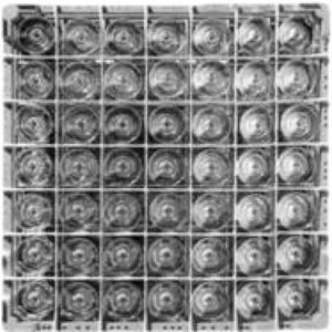 Cestelli per 49 Bicchieri